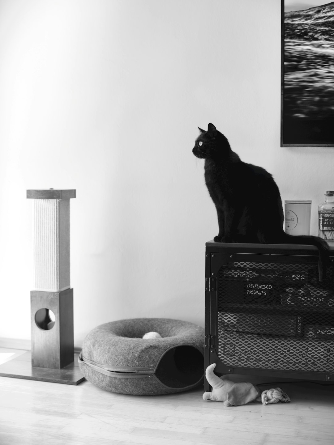 Black-and-white minimalist home scene: a black cat sits in profile on a metal cabinet, watching the light, with a scratching post, felt cat cave, and toys arranged below—clean negative space and soft window light.